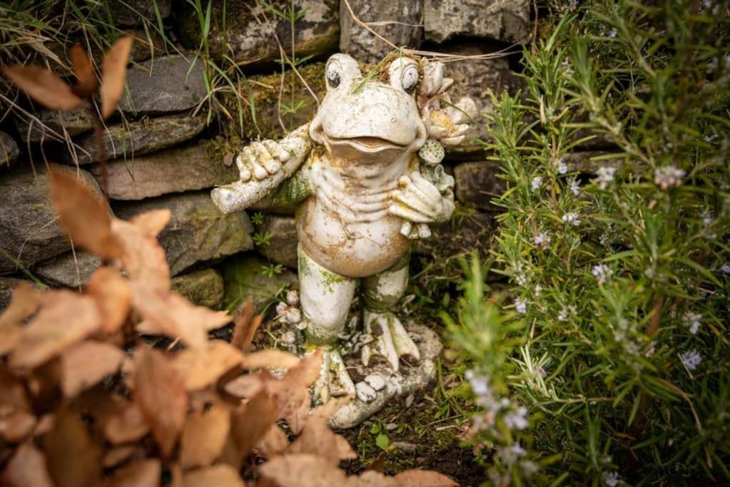 Foulis Cottage, Foulis Estate, Highland Scotland Ardullie 外观 照片